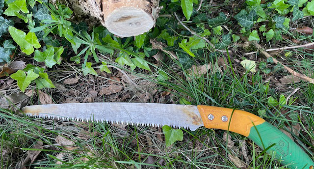 hand pruning saw next to cut branch