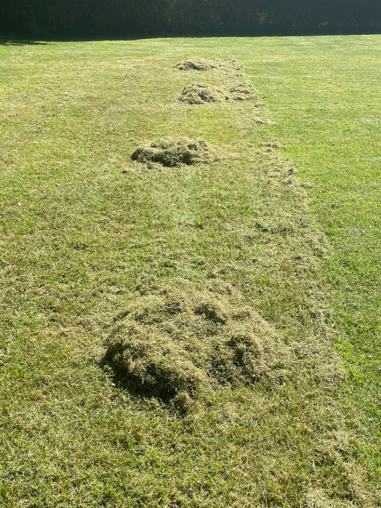 Electric Rake and Scarifier - Left: After, Middle: During, Right: Before